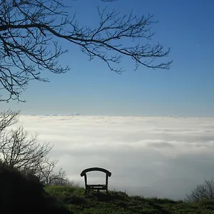 Montalma Monchique